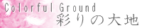 彩りの大地 ～Coloful Ground～ wing_pink.png